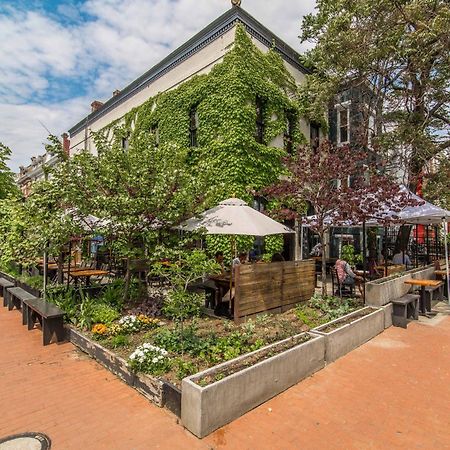 Stylish Renovated Flat, Central, Walk To Dc Sights Washington Dış mekan fotoğraf