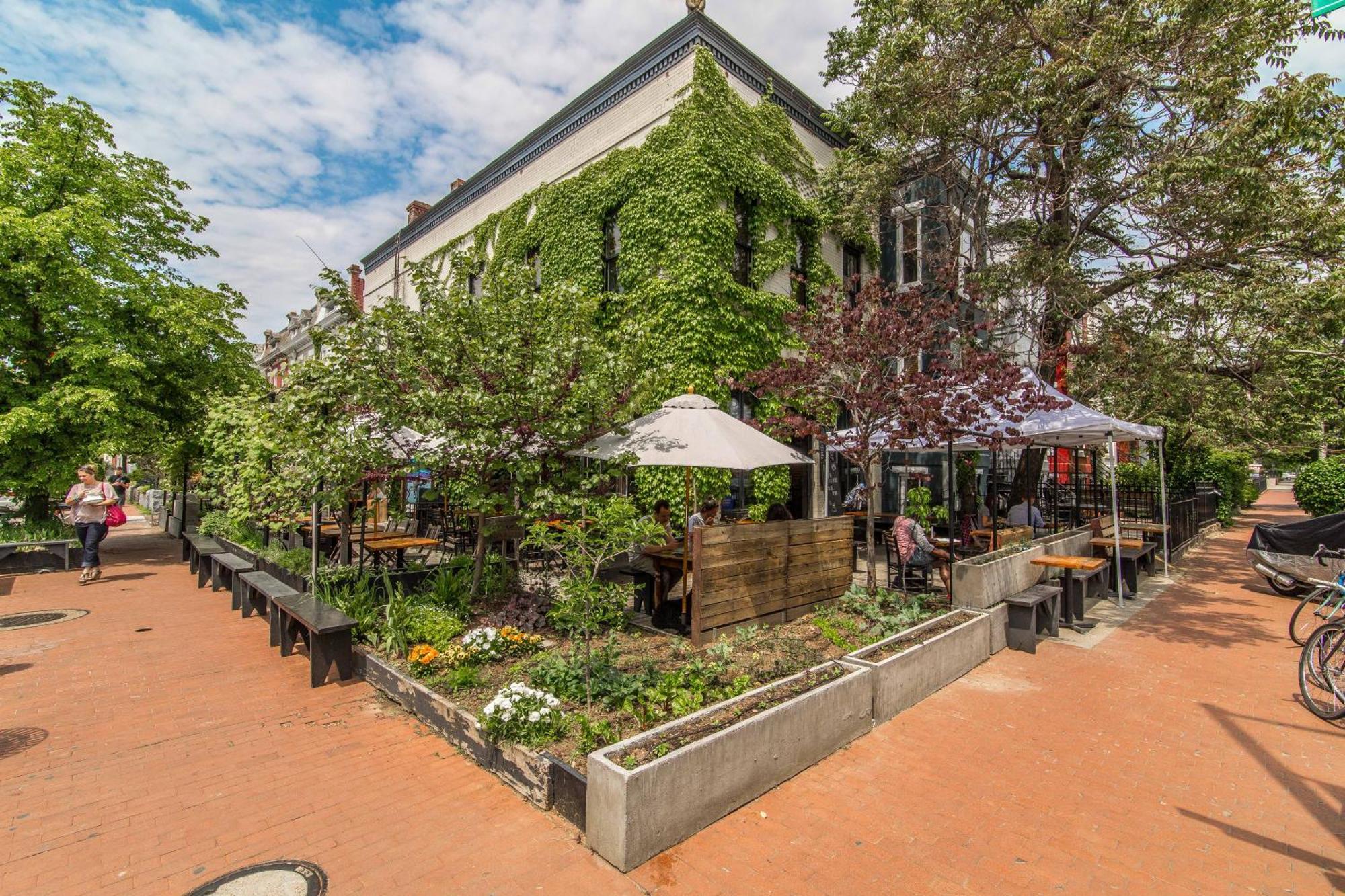 Stylish Renovated Flat, Central, Walk To Dc Sights Washington Dış mekan fotoğraf